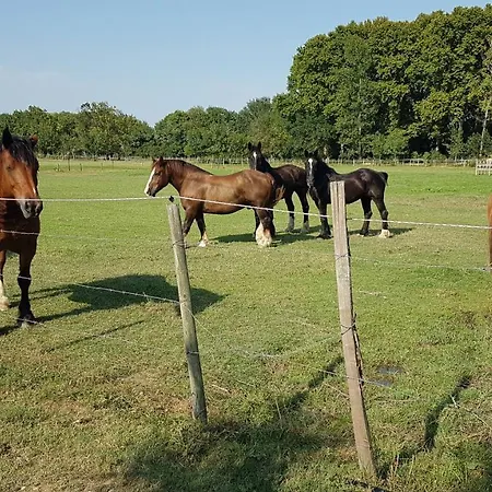 Les Gites De Camargue Le Cailar Buitenkant foto