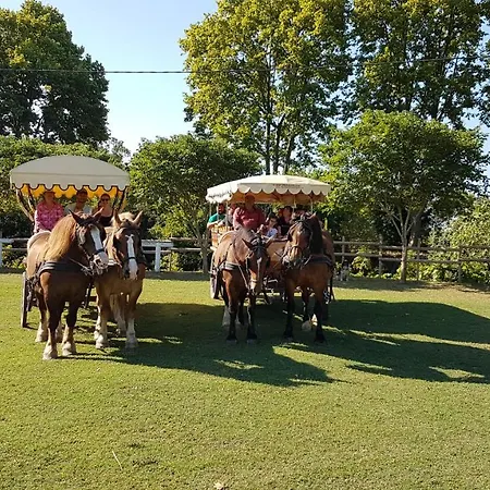 Les Gites De Camargue Le Cailar Buitenkant foto