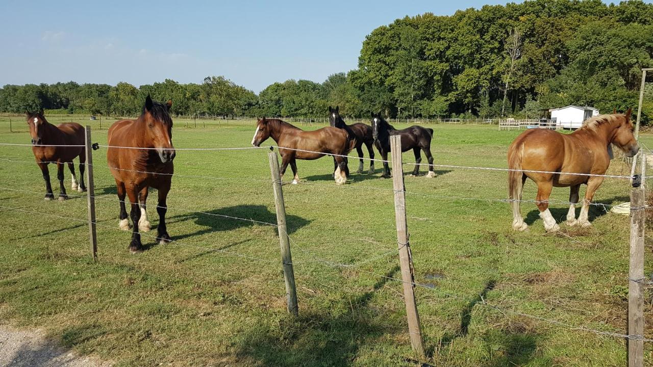 Сasa de vacaciones Les De Camargue Le Cailar