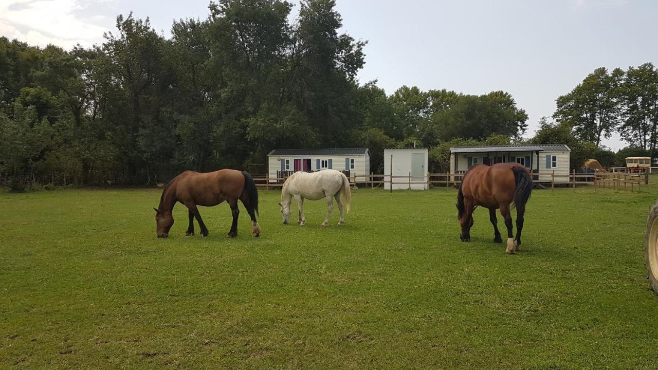 Les De Camargue Сasa de vacaciones Le Cailar